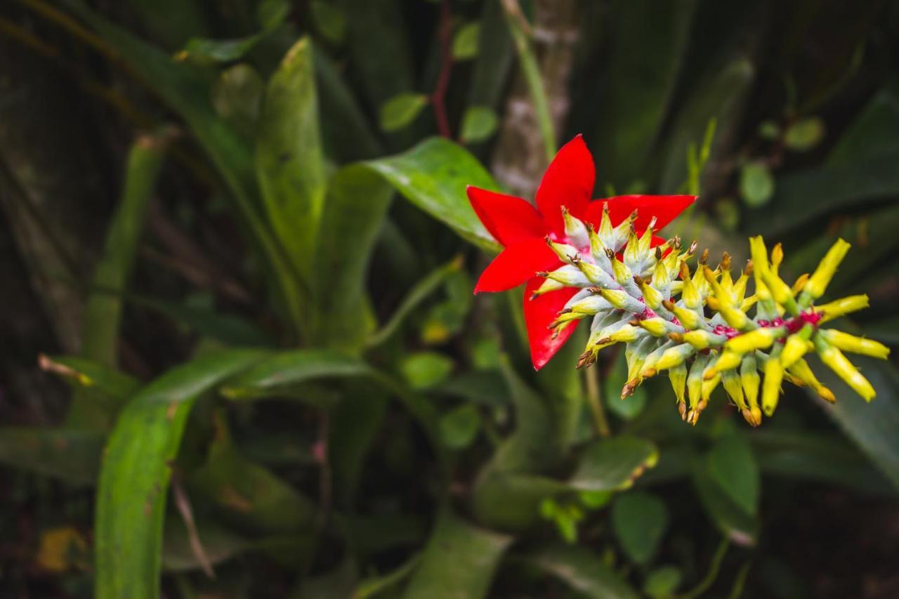 Pousada Alem Do Jardim ปรายาโดโฮซา ภายนอก รูปภาพ