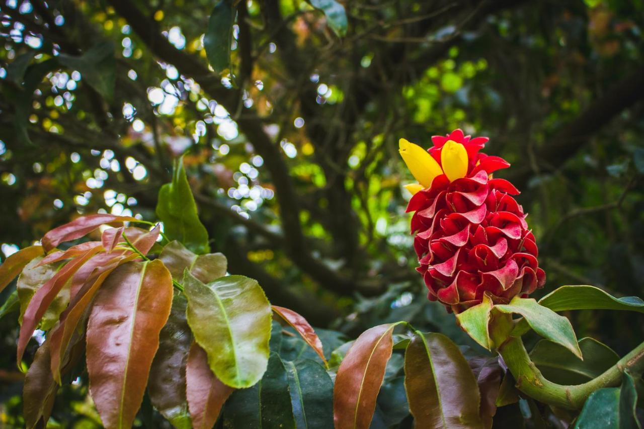 Pousada Alem Do Jardim ปรายาโดโฮซา ภายนอก รูปภาพ